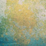 Posadzki przemysłowe betonowe: rozwiązania MC‑Bauchemie dla trwałych hal